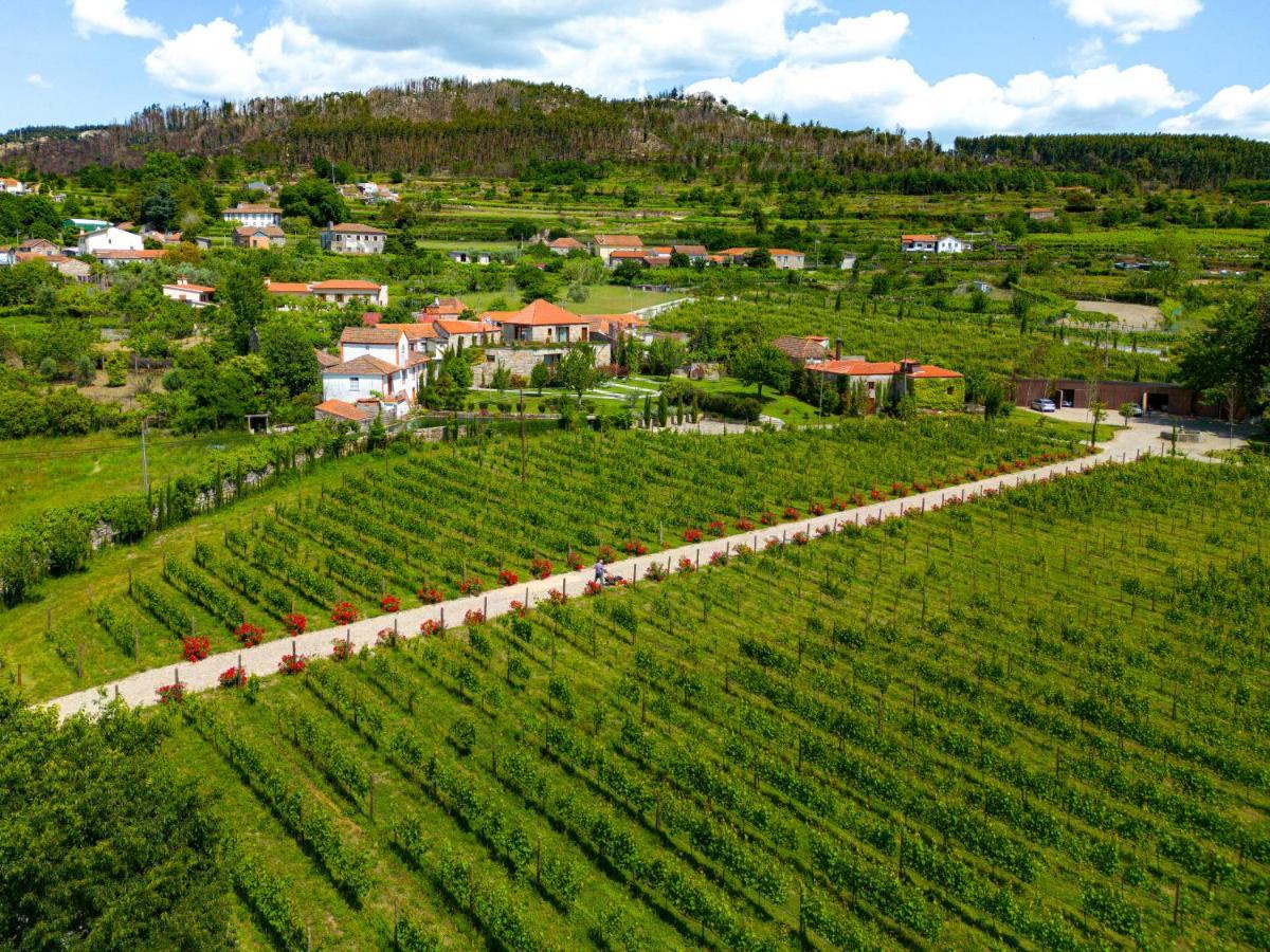 Lavandeira Douro Nature & Wellness Ancede Exterior foto